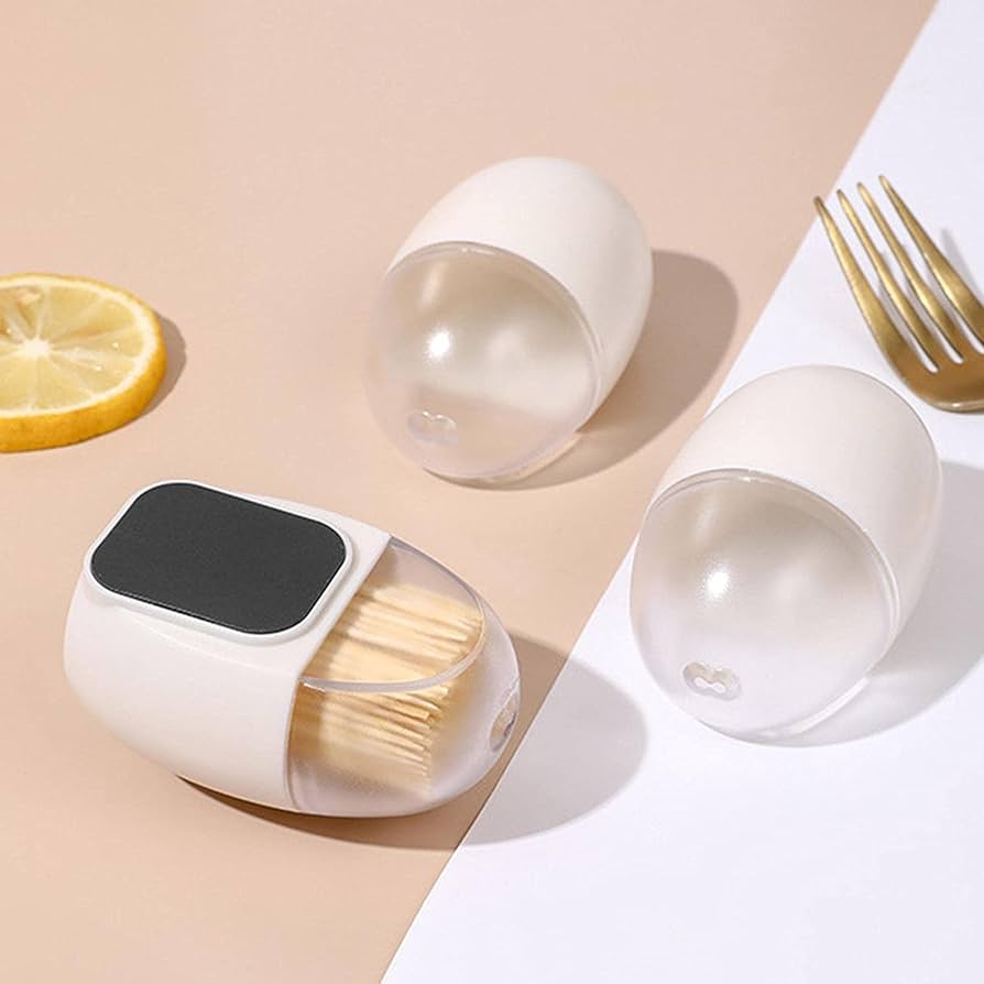 Egg Shape Magnetic Toothpick Storage Container