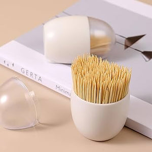 Egg Shape Magnetic Toothpick Storage Container