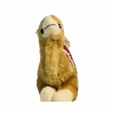 Camel/Camel With shirt/Lion Extra Soft Plush Toy Pack of 3 Premium Pre-loved