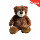 Cute Teddy Bear Stuff Toy For Kids 22Cm Premium Pre-Loved