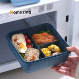 Double Compartment Lunch Box With Spoon